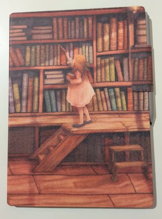 Remarkable Paper Pro Color 11'8" - Impecable