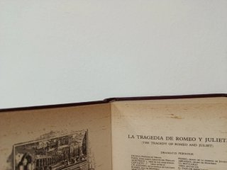 Libro de Shakespeare