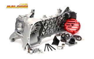 Carter Malossi RC ONE Piaggio Nuevo