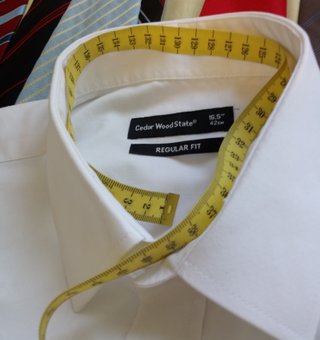 Camisa Blanca Cedar Wood State Regular Fit 16.5"