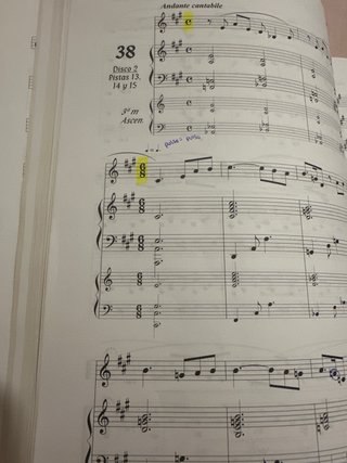 Lenguaje Musical Melódico y Rítmico VI