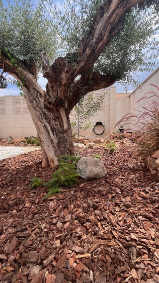 Se ofrece mantenimiento de piscinas y de jardines.