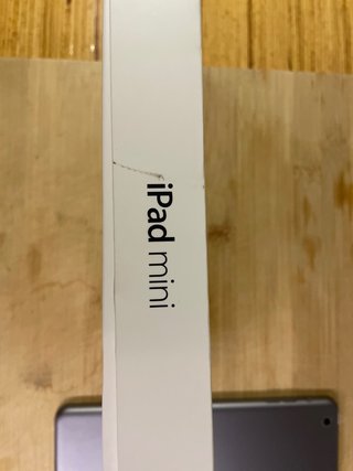 iPad mini Apple Negro