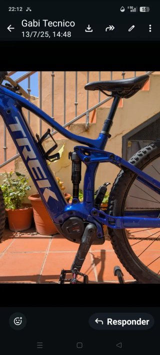 Bicicleta Eléctrica Trek RAIL carbono Montaña