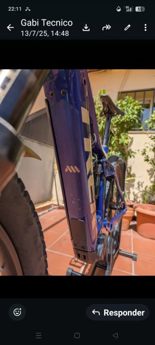 Bicicleta Eléctrica Trek RAIL carbono Montaña
