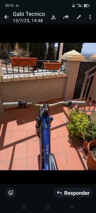 Bicicleta Eléctrica Trek RAIL carbono Montaña