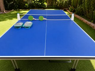 Mesa Ping Pong Panguéa 700i Limited Indoor