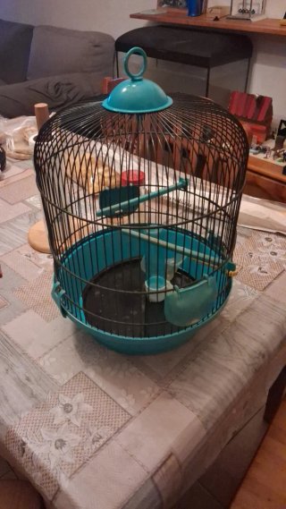 Jaula para pájaros Gavia