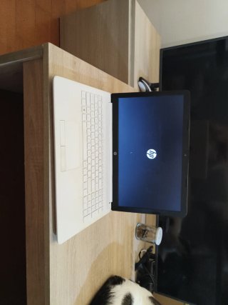 Portátil HP Blanco