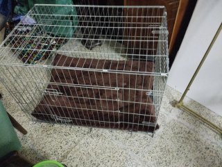 Jaula para mascotas con colchón