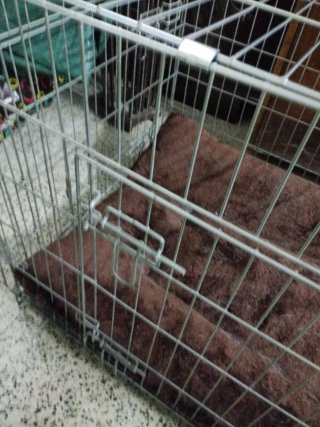 Jaula para mascotas con colchón