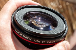 Canon EF 100mm f/2.8L Macro IS USM