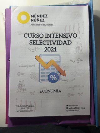 Apuntes de curso intensivo Méndez Núñez, economía