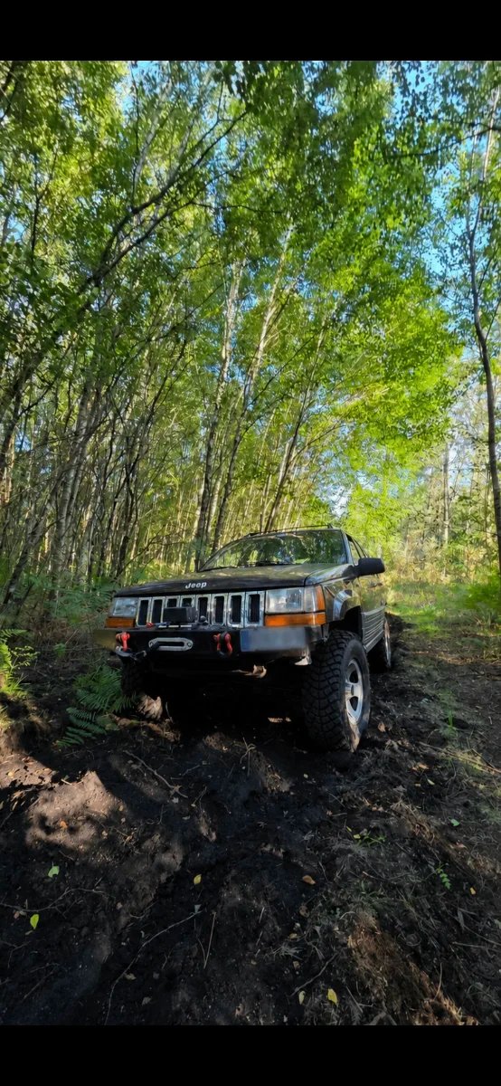 Jeep Grand Cherokee 1993 - foto 1