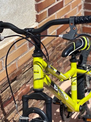 Bicicleta Infantil 20 Decathlon