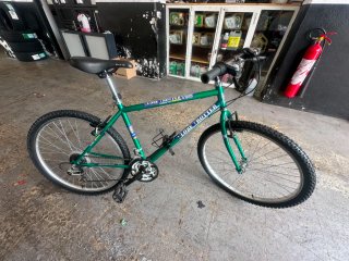 Bicicleta Globe Trotter Rin 26