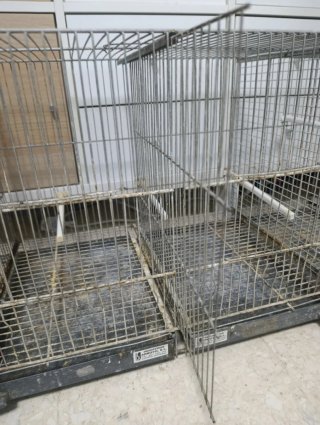 Jaulón RSL 1m con bandejas galvanizadas