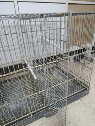 Jaulón RSL 1m con bandejas galvanizadas
