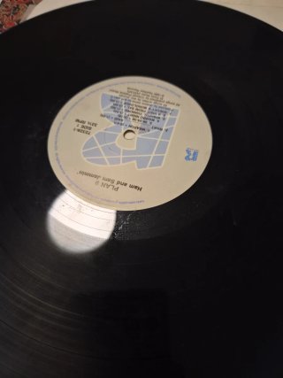 Vinilo LP Plan 9 garage rock