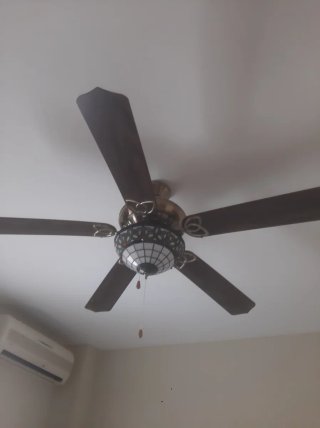 Ventilador de techo