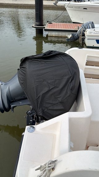 Lancha casco LEVANT 600 motor selva 250CV