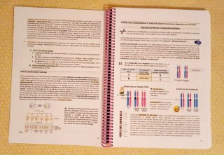 Fundamentos de Psicobiología Parcial I y II