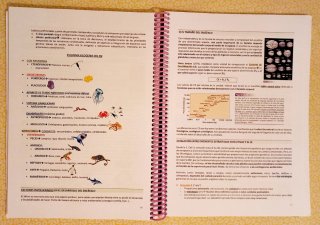 Fundamentos de Psicobiología Parcial I y II