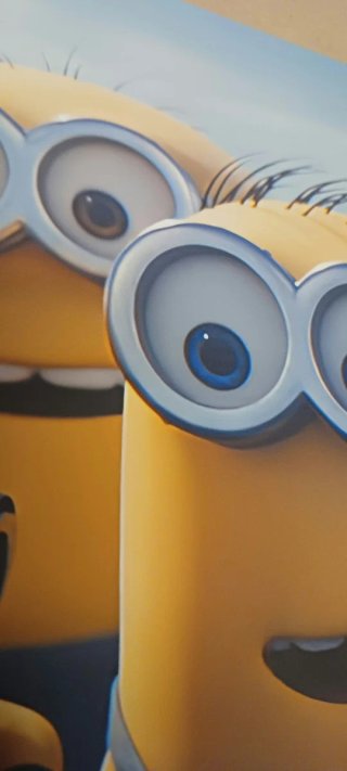 Ilustración Minions & Monsters A3 30x42cm