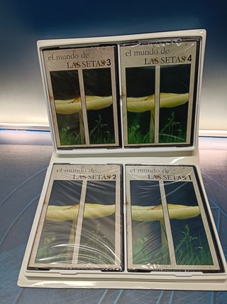 El mundo de las setas 4 DVD, nuovi sigillati (i DVD)
