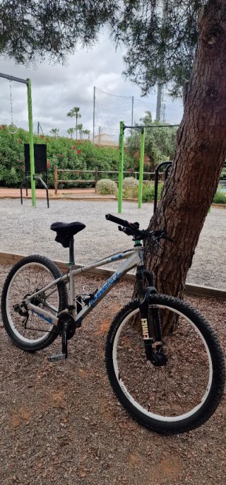 Bici Mondraker Play 2