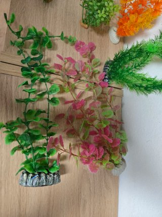Kit 11 Plantas Decoración Acuario