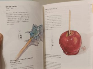 Maravillas y delicias de Japón
