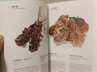 Maravillas y delicias de Japón