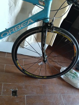 Orbea Aqua carbono en los tirantes y horquilla