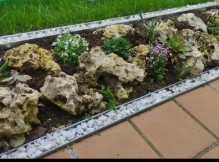 Servicios de jardinería y paisajismo