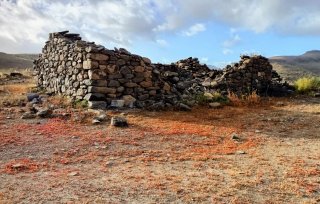 Terreno en el sur con antigua casa de 80 m.