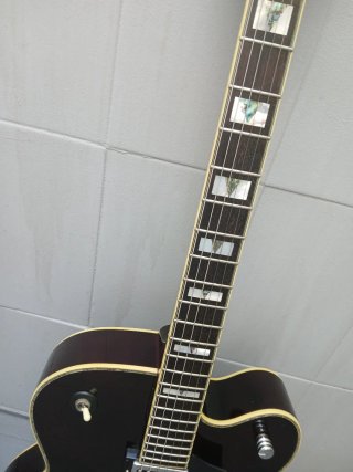 CHOLLO HOY Peavey Rockingham púrpura