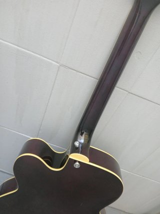 CHOLLO HOY Peavey Rockingham púrpura