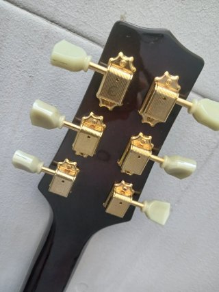 CHOLLO HOY Peavey Rockingham púrpura