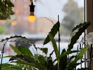 Local comercial en venta en San Ginés en Cartagena