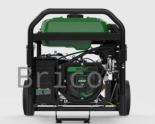 Generador Dual Propano - Gasolina NATURA 8500W - 230V