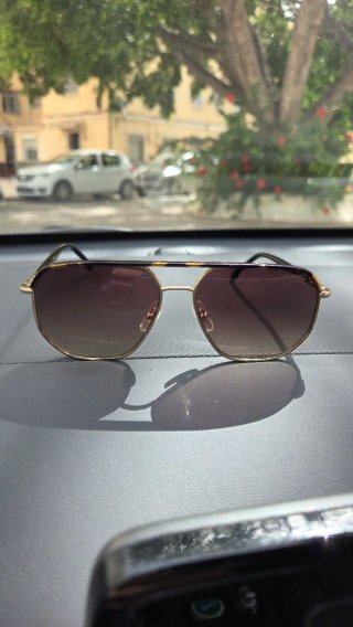 Gafas de sol Carrera 304/S  Marrón y Dorado