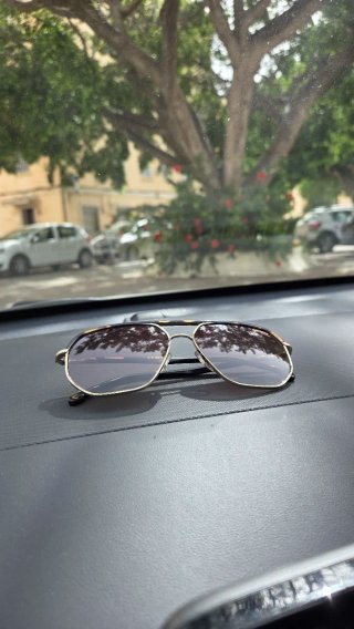 Gafas de sol Carrera 304/S  Marrón y Dorado