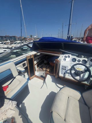Barco - Crucero deportivo