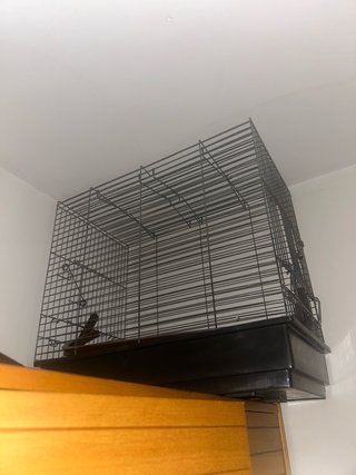 Jaula grande para loro