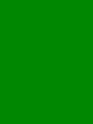 Ropa verde