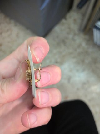 Pendientes Pájaro Oro 18K y Circonitas