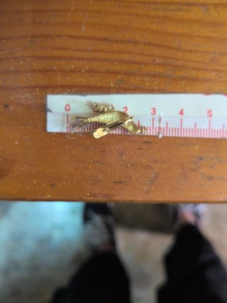 Pendientes Pájaro Oro 18K y Circonitas