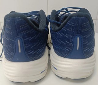 Mizuno Wave Rider 29. Talla 43