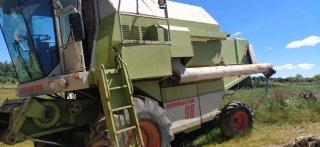 Cosechadora Claas Dominator 98